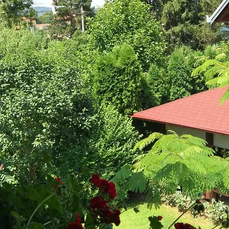 Dani Διαμέρισμα