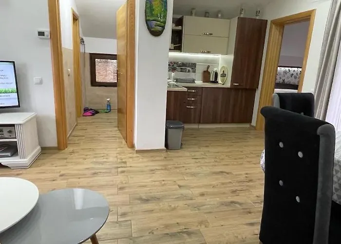 Dani 维尔蒂尼克