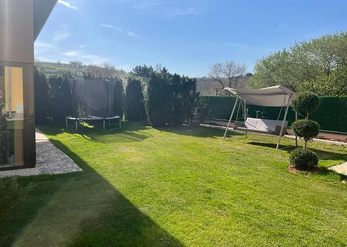 Dani * 维尔蒂尼克