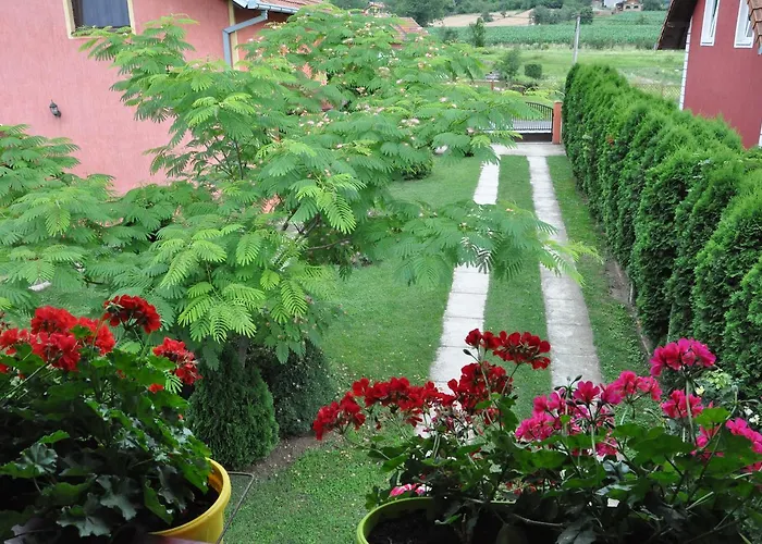 Dani 维尔蒂尼克