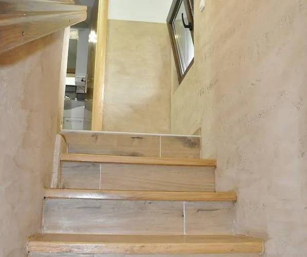 Dani 维尔蒂尼克