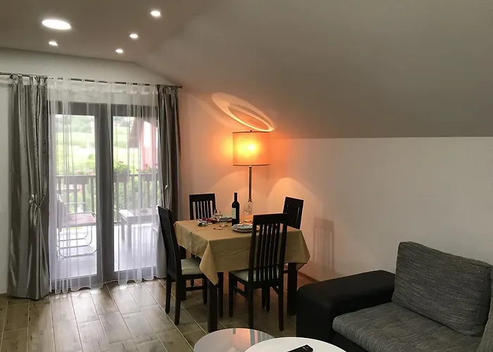 Dani 维尔蒂尼克