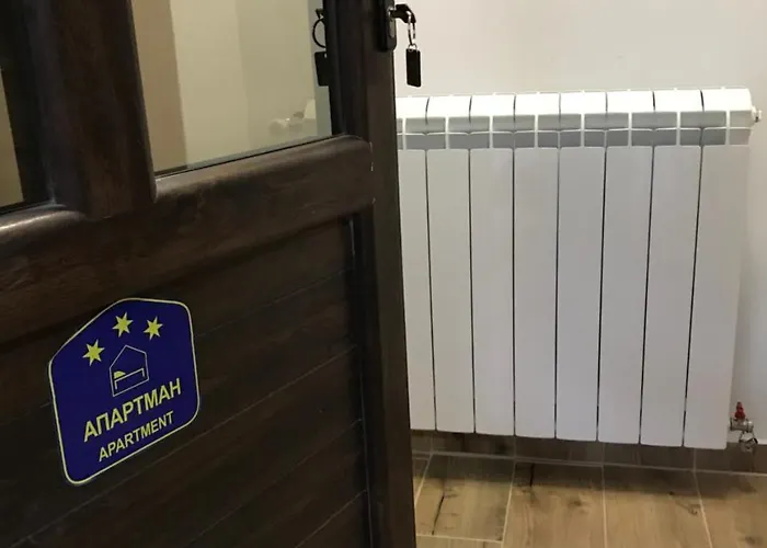 公寓 Dani 维尔蒂尼克